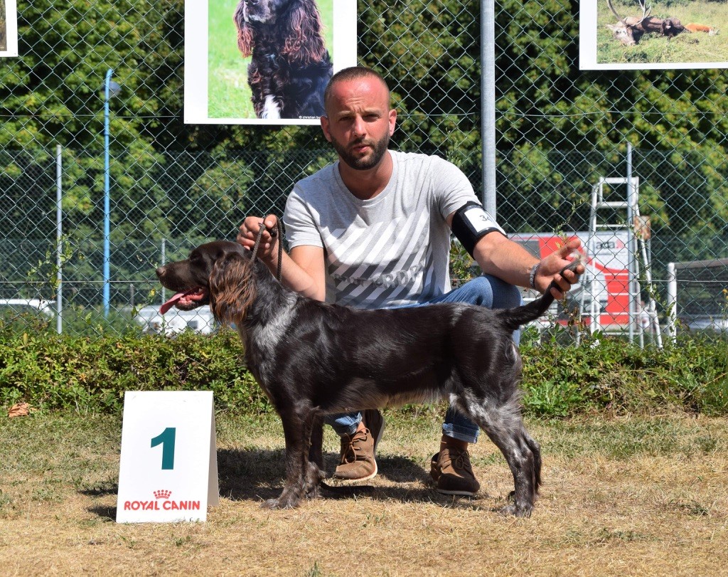 Snatch Du Val Des Houchis